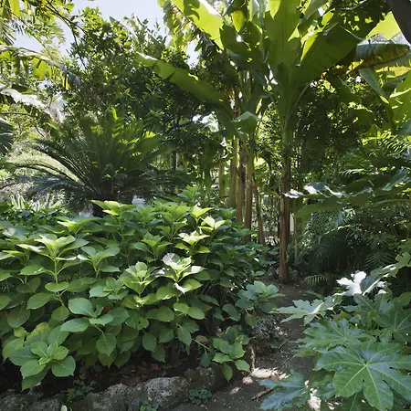 瑞真娜宫廷酒店 酒店 马奥莱