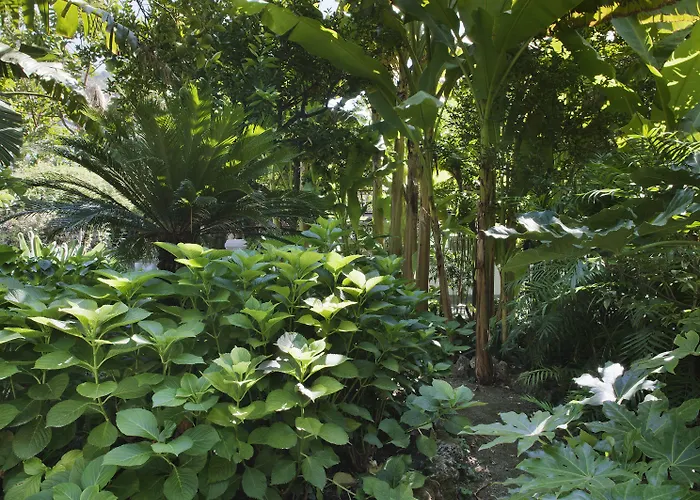 Reginna Palace Hotel Maiori